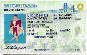 Michigan ID-IDshazam.com