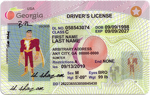 Georgia ID-IDshazam.com